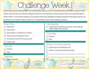 Week 1 Challenge: Organizing and Cleaning