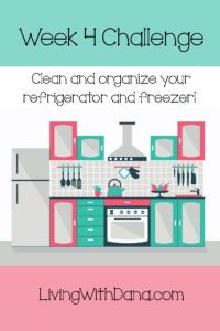 Week 4 Challenge: Refrigerator / Freezer