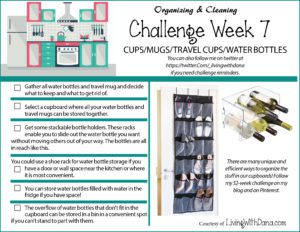 Week 7 Challenge: Travel cups and water bottles