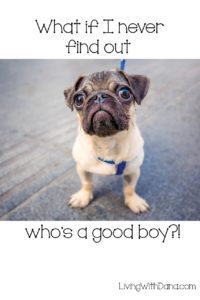 #girlboss All the memes