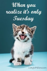 #girlboss All the memes