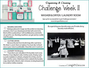 Week 11 Challenge: Washer, Dryer, Laundry Room