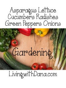 Need your help! Raised garden tips?