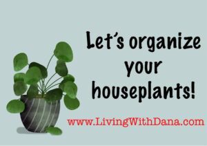 Challenge: Manage your houseplants for a happy home