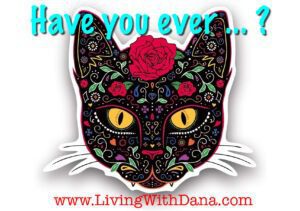 Have you ever … ? Fun questions for points