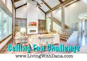 Cleaning Challenge: Ceiling Fans