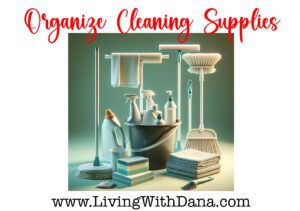 Challenge: Organize cleaning supplies!