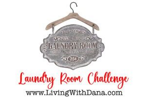 Challenge: Organize, Clean, Declutter the Laundry Room!