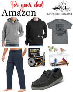 Father’s Day gift ideas