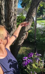 STEM: Using pine cones as weather indicators