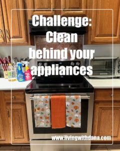 Challenge: Clean behind your big appliances