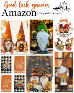 Gnomes are believed to bring good luck!