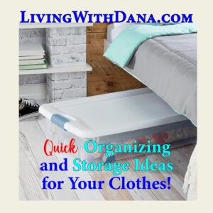 Challenge 2025 Week 29: Bedroom – Clean Under Bed & Closet