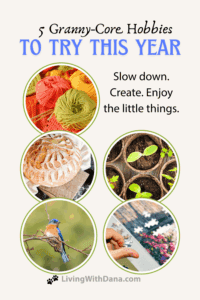 Granny Hobbies, Cozy Crafts