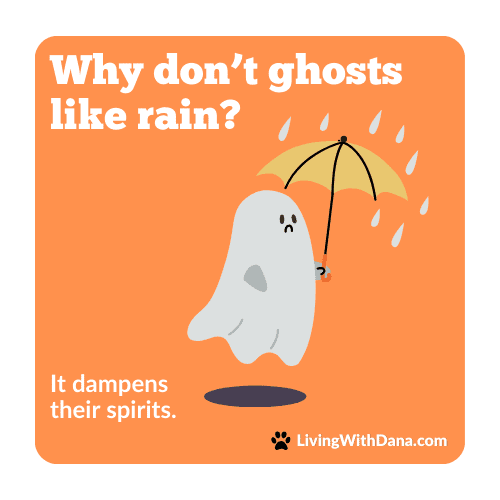 A digital illustration featuring a cute ghost holding an umbrella against a rain backdrop, with the text 'Why don’t ghosts like rain? It dampens their spirits.' on an orange background.