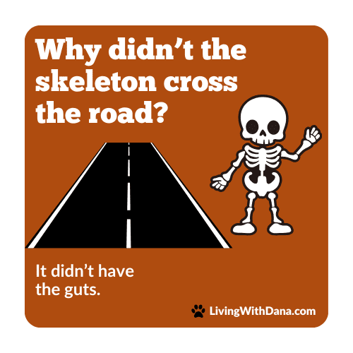 Illustration of a skeleton next to a road with a joke text: 'Why didn’t the skeleton cross the road? It didn’t have the guts.'