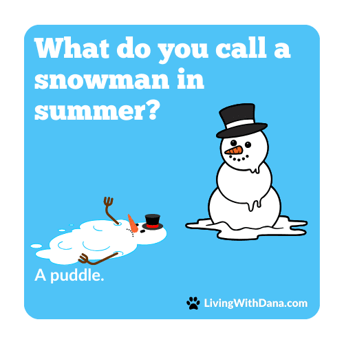 A cartoon illustration featuring a snowman in a top hat standing beside a melted snowman, with the text 'What do you call a snowman in summer? A puddle.' on a light blue background.