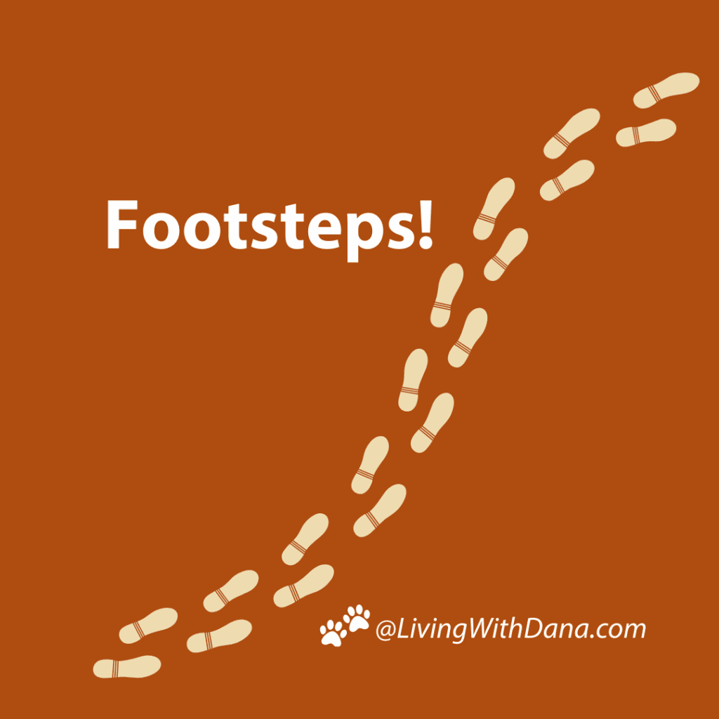 An illustration of footprints on a brown background, with the text 'Footsteps!' prominently displayed.
