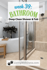 Challenge 2025 Week 39: Bathroom Shower & Tub