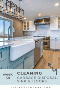 Challenge 2025 Week 38 Garbage Disposal, Sink and Floors