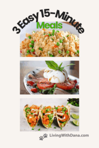 Quick & Easy: 15-Minute Meals