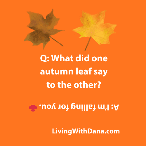 An illustration featuring two autumn leaves against an orange background with the text: 'Q: What did one autumn leaf say to the other? A: I'm falling for you! LivingWithDana.com'