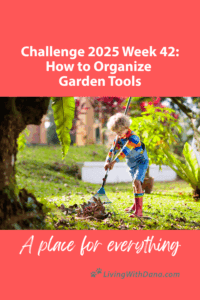 Challenge 2025 Week 42: Garage