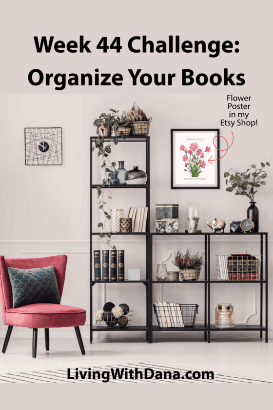 Challenge 2025 Week 44: Wherever the books are – Living with Dana