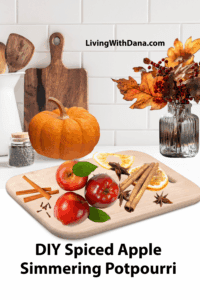 Spiced Apple Simmering Potpourri