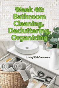 Challenge 2025 Week 46: Bathroom rugs and supplies